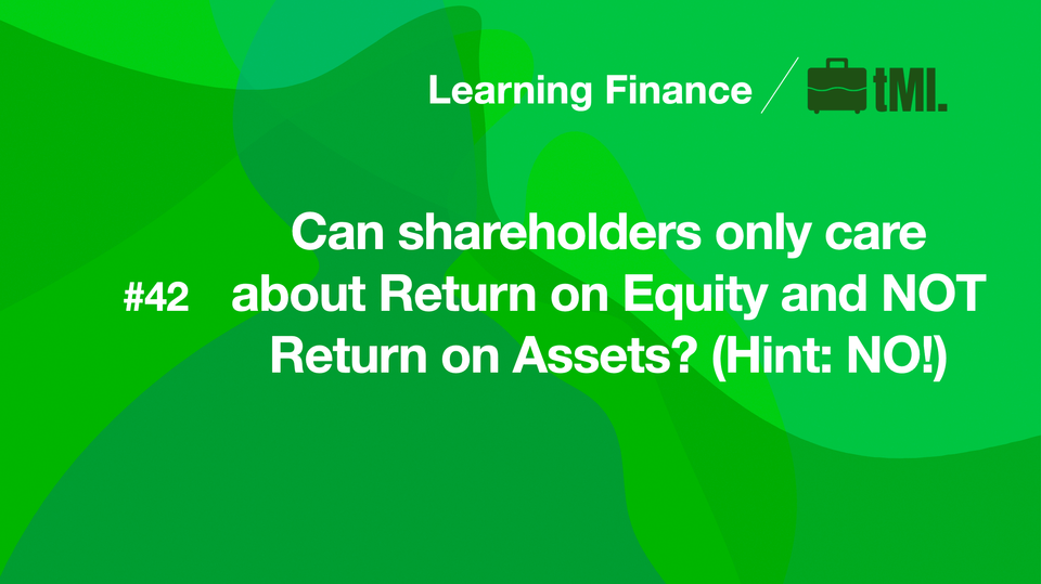 Can shareholders only care about Return on Equity and NOT Return on Assets? (Hint: NO!)